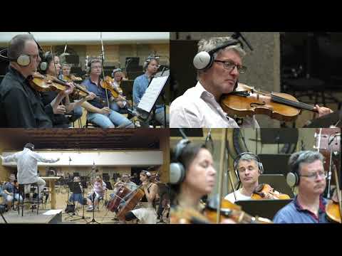 John Van Geem | Renaissance | 2022 by John Van Geem