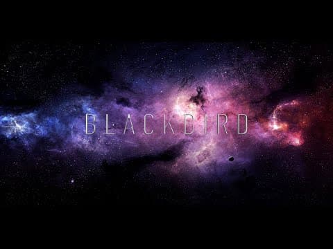 John Van Geem | Blackbird | 2020 by John Van Geem